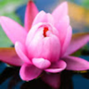 Meet your Posher, Raquel